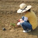 은숙농장 이미지