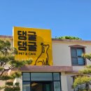 형아네집 | 김제 애견동반카페 댕굴댕굴 반려견 놀이터 후기