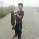 청도의 아침 이미지