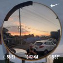 2020-주135 | 꾸준히 운동한다는 의미(2026 CrossFit open 측정 후기 포함)