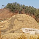 이춘원선생묘역 및 신도비 이미지