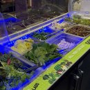 뉴 사거리 PC 이미지