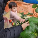 응골농장 이미지