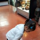 신애유치원 이미지