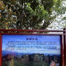 💕 [4박6일 계림·양삭·용승 여행 인솔 후기] 이미지