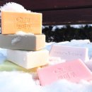 (주)마루펫 이미지