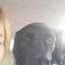 레오나르독 이미지