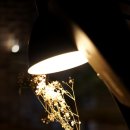 더 케이브 이미지