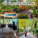 한림공원 | 제주 한림공원 방문후기｜부모님 모시고 가기 좋은 코스, 반려견 동반 가능 명소
