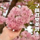 들성로-8 이미지