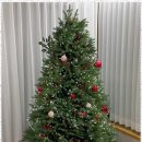 할라타 플레이스 이미지