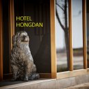 호텔홍단 이미지