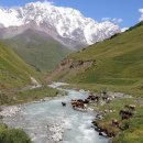 대전남부교회 개방화장실 이미지