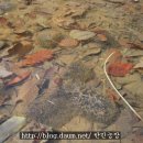 비암농장 이미지