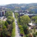 서울시립대학교 이미지