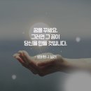 켈리영어