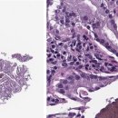 이도메디컬 이미지