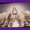 주식회사 제이디기술 이미지