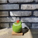 예이제448 이미지