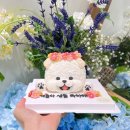 디어마이독 이미지