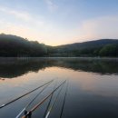 고담낚시터 이미지