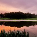 알프스퍼블릭 이미지