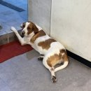 바른생고기정육점 소풍정육식당 이미지