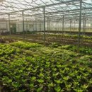 동이농장 이미지