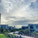 협재리체 이미지