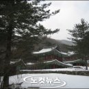 평창 오대산 사고 이미지