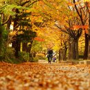 용산구 시민건강관리센터 이미지