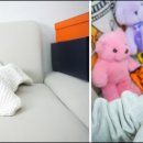 브리더독 | 강동구에서만 만날 수 있는 숨은 명품 말티푸, 어바웃독에서 발견!