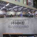 네비킹