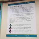 라이옥베트남쌀국수 김해직영점 | 월남쌈 + 소고기 쌀국수 조합 최고👍 김해 라이옥 방문기