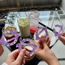 윤진식당 | [공지] 2025.08.09. 윤하 9기 팬미팅 후기