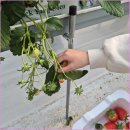 영천농장 이미지