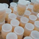 꿈여울 농장 이미지