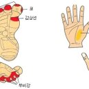 ◈ 唵 緣 手 指 針 法 -코막힘, 축농증(손, 발 마사지) 이미지