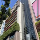 봉갑 | 마이리얼트립 타이중 반나절 투어(뚜벅이로 가오메이습지 가는법)