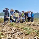 용산면 행정복지센터 이미지