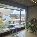 카페브런치(오후) | 대전브런치 대전감성카페 용운동카페 신이내린오후 대전동구브런치 용운동맛집 와이파이 후기