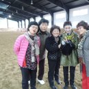 연천승마공원 이미지