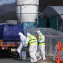 경기남부농장 이미지