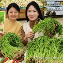 청도농업협동조합 이미지