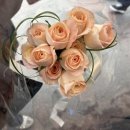 에덴시장 | [남대문 꽃시장] 에덴화원 스튜디오 촬영 부케 재방문 후기 | 주말 무료주차 팁