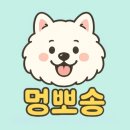 오늘의 댕댕 이미지