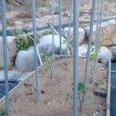 아야진 파란집 | 고성독채펜션 아야진파란집 후기 :)