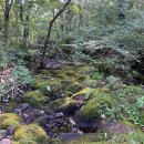 제주에선 쪼끌락 이미지