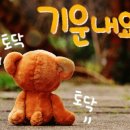 우정낚시고기