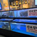 태풍산오징어